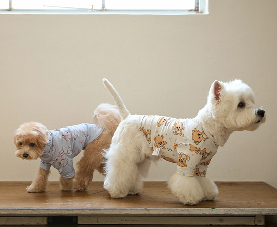  | 貝狗商行｜韓國寵物選品