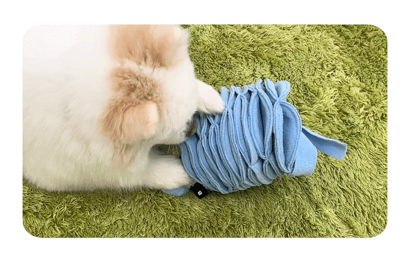 imgi_8_4551_68fb9a0167047