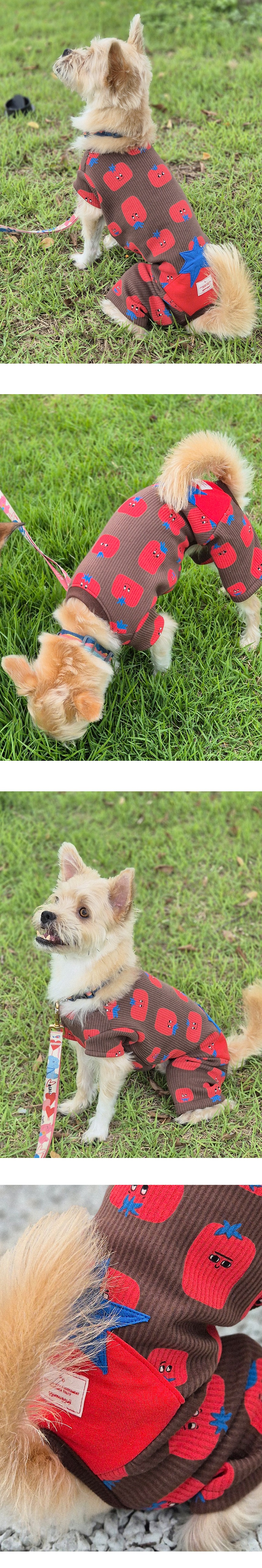 imgi_12_G25F501-27-02