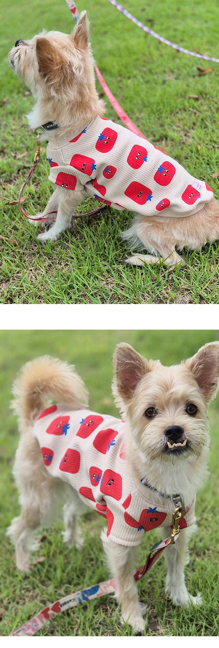 imgi_38_G25F201-31-02