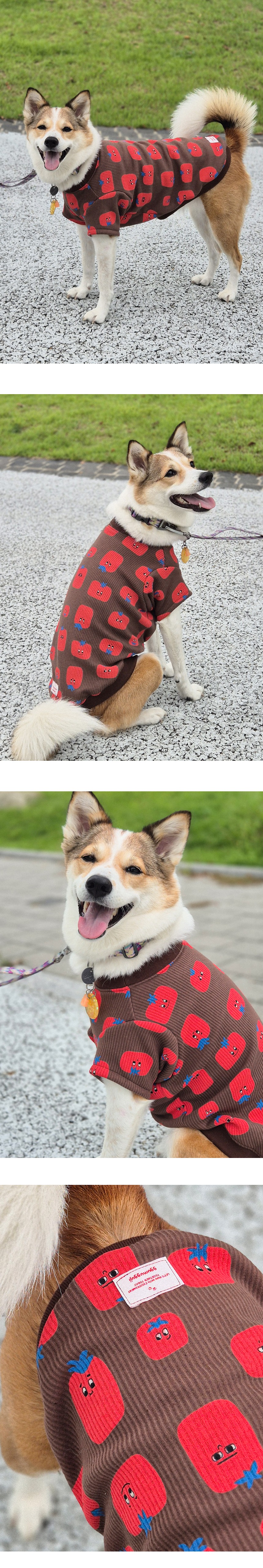 imgi_37_G25F201-27-01