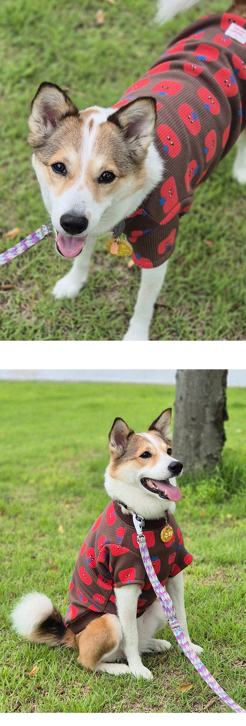 imgi_38_G25F201-27-02