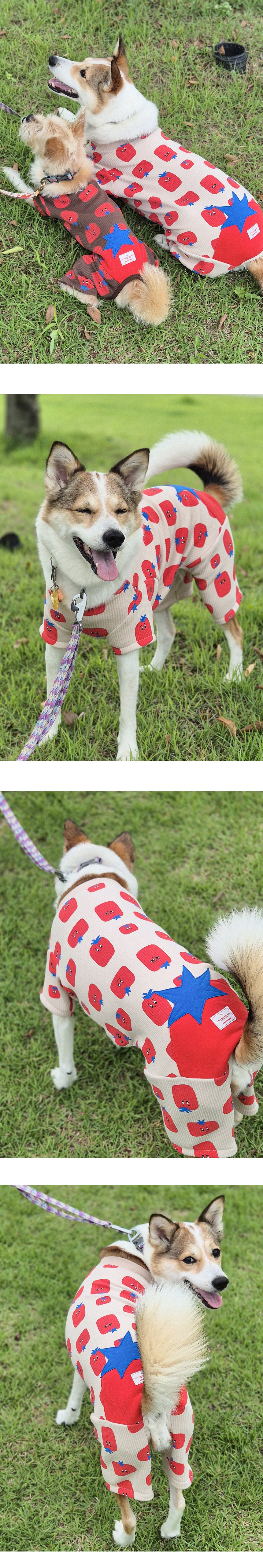 imgi_11_G25F501-31-01