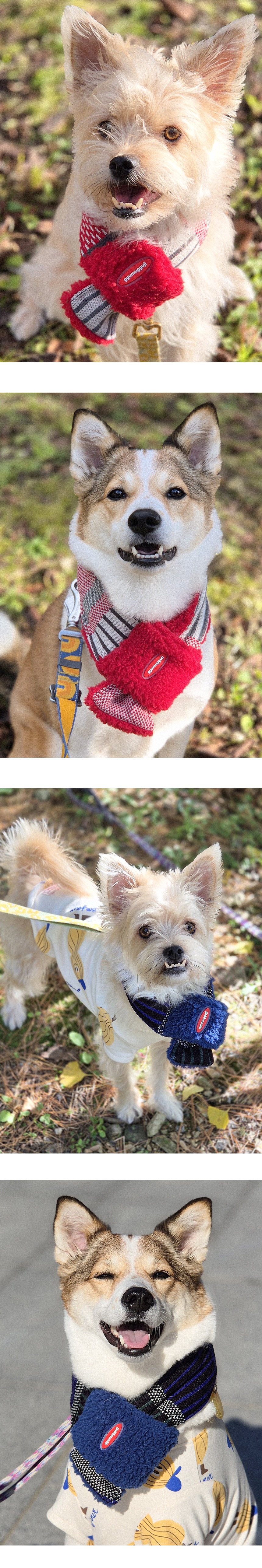 imgi_35_G25F000-01-01