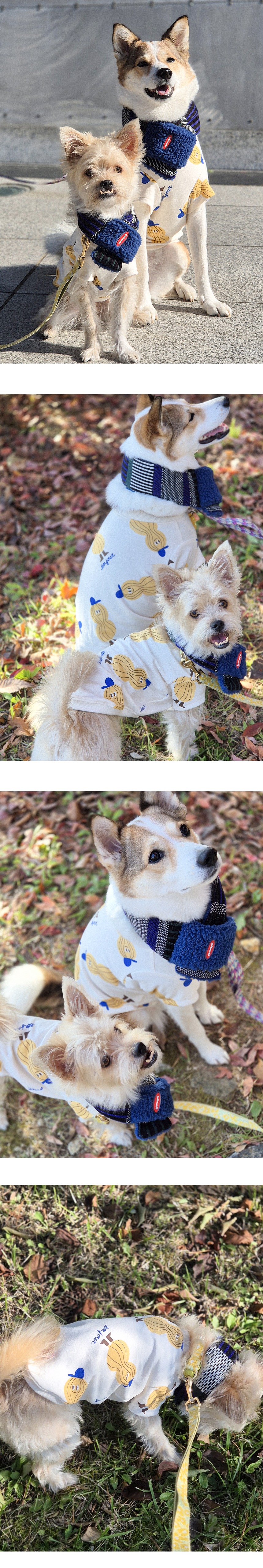 imgi_35_G25F202-01-01