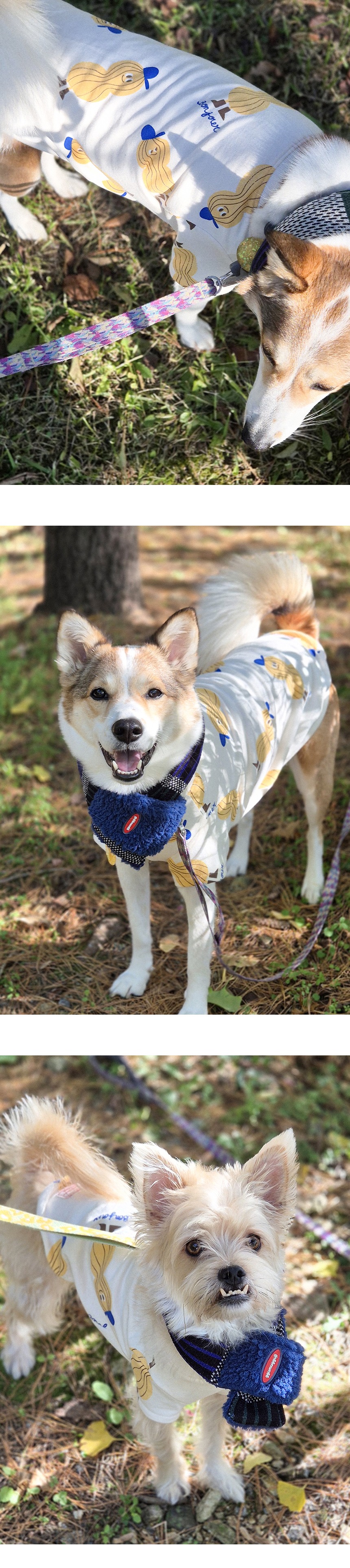 imgi_36_G25F202-01-02