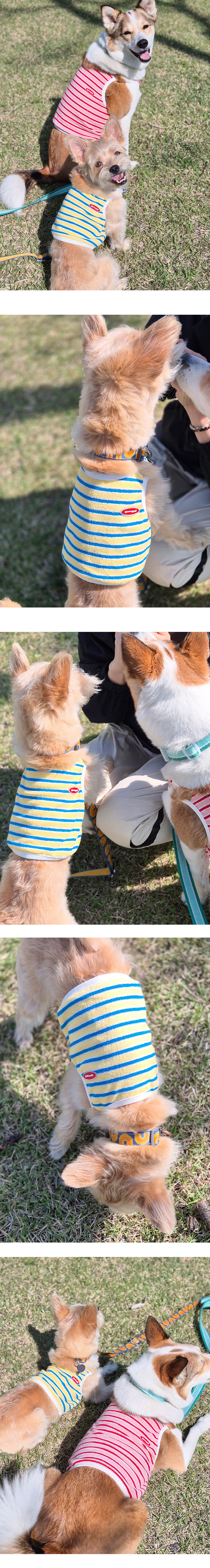 imgi_12_G25M203-07-01