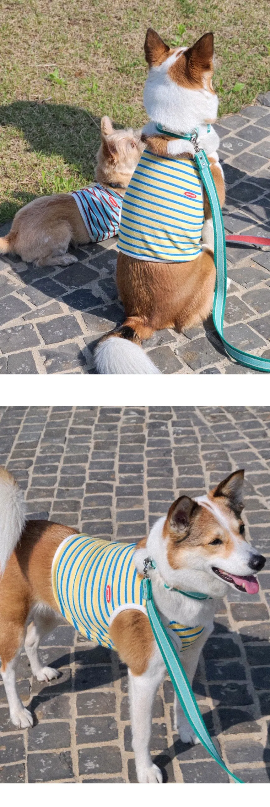 imgi_13_G25M203-07-02