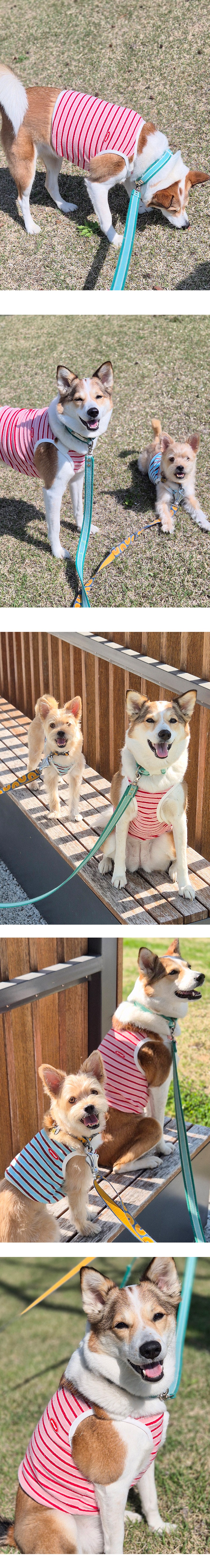 imgi_39_G25M203-03-02