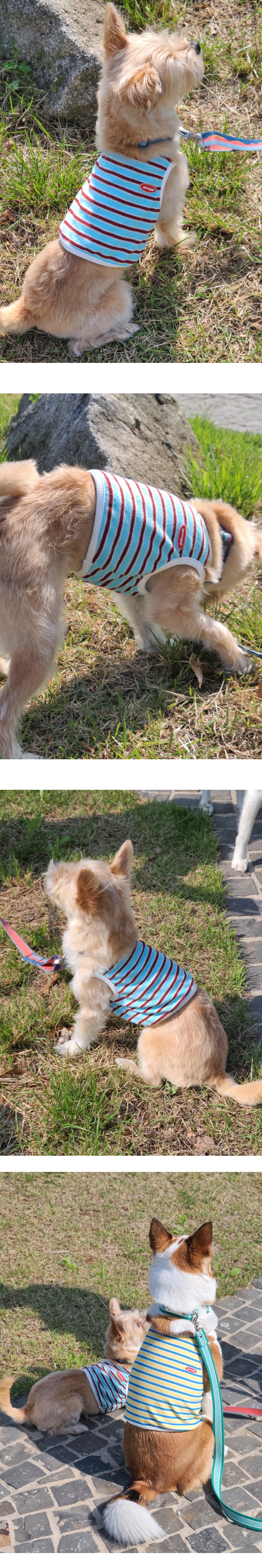 imgi_13_G25M203-14-02