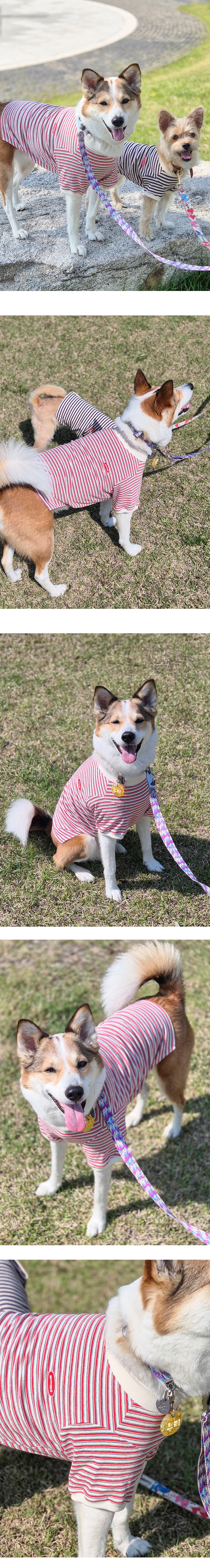 imgi_37_G25M205-05-01