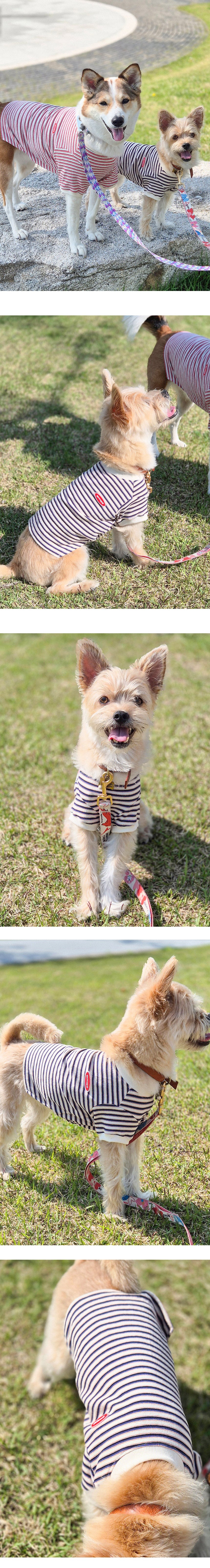 imgi_33_G25M205-18-01