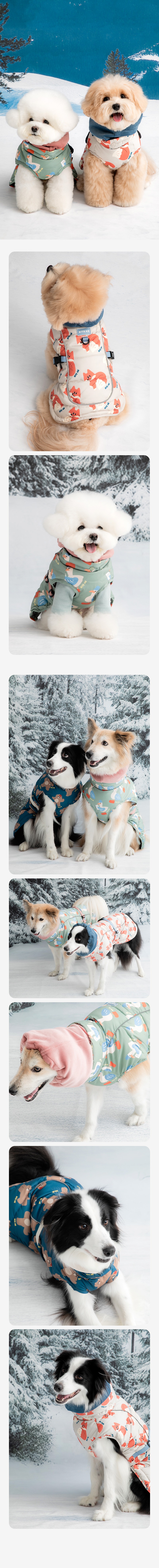 imgi_129_20250911151658662226037