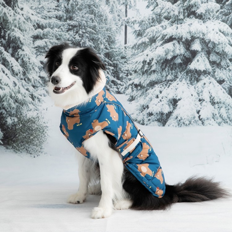 imgi_228_a433b38142e6d9b5c43ae5dbeb17d517