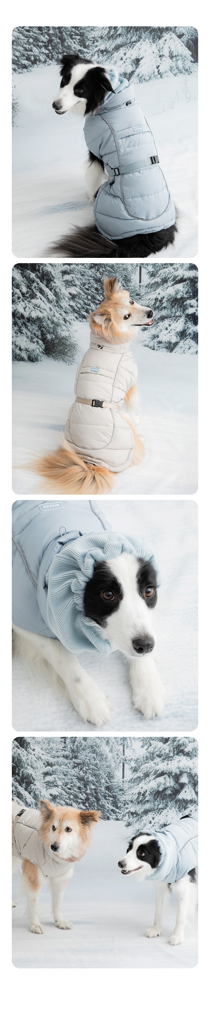 imgi_129_202509111510401324969600