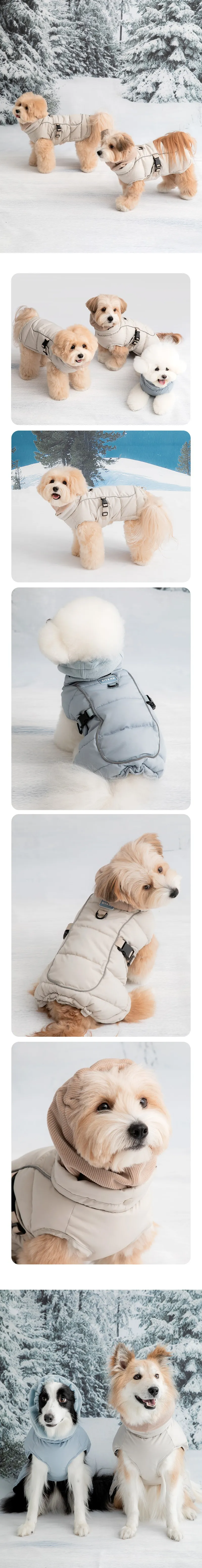 imgi_128_202509111510391406816406