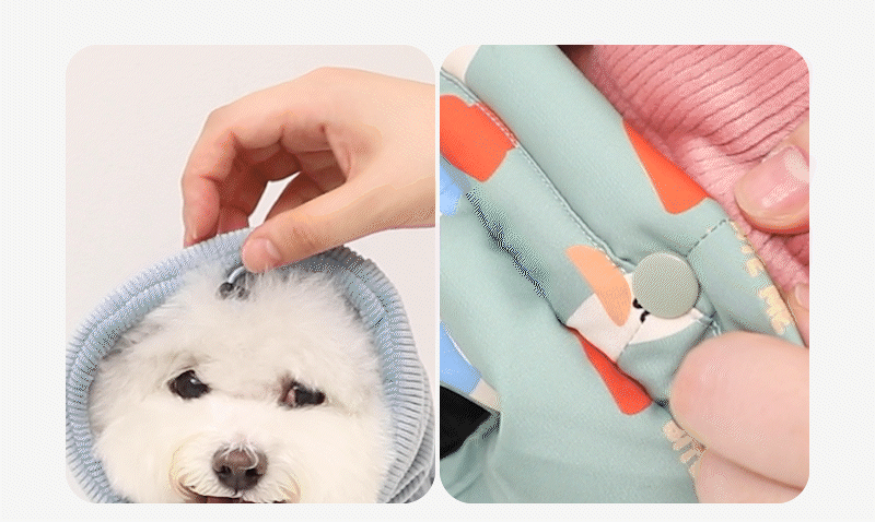 imgi_122_20250911151024841415438