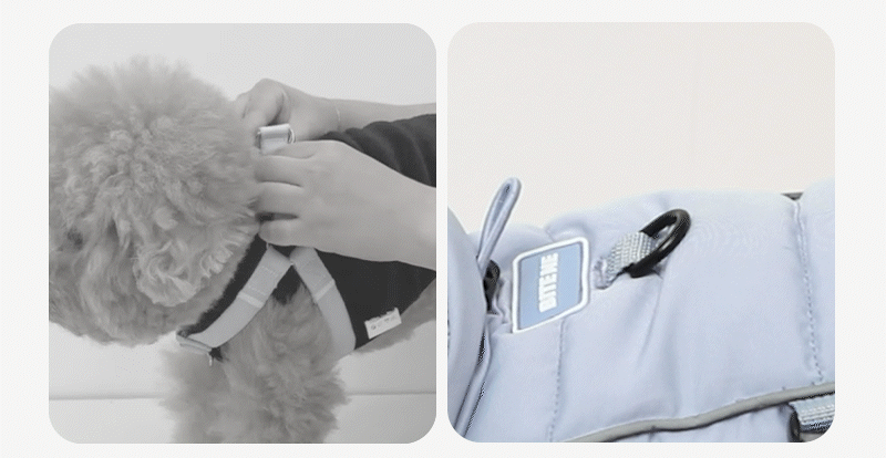 imgi_112_20250911151006497970443