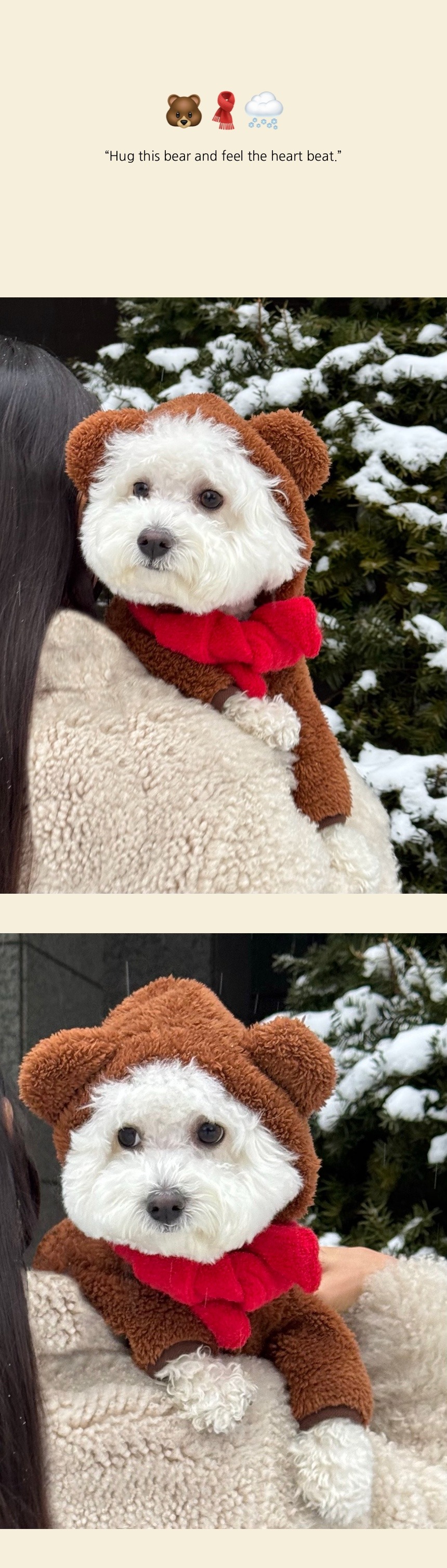 imgi_112_0329ef2ea313d