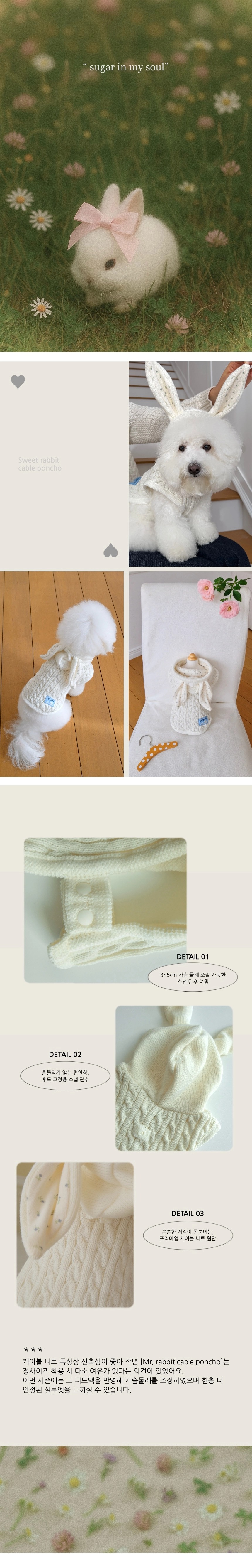 imgi_55_2bea81e6a72c1