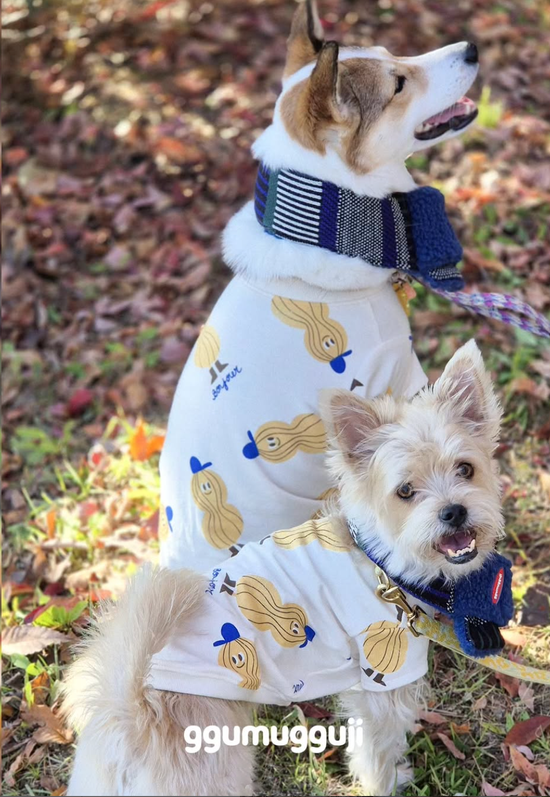  | 貝狗商行｜韓國寵物選品