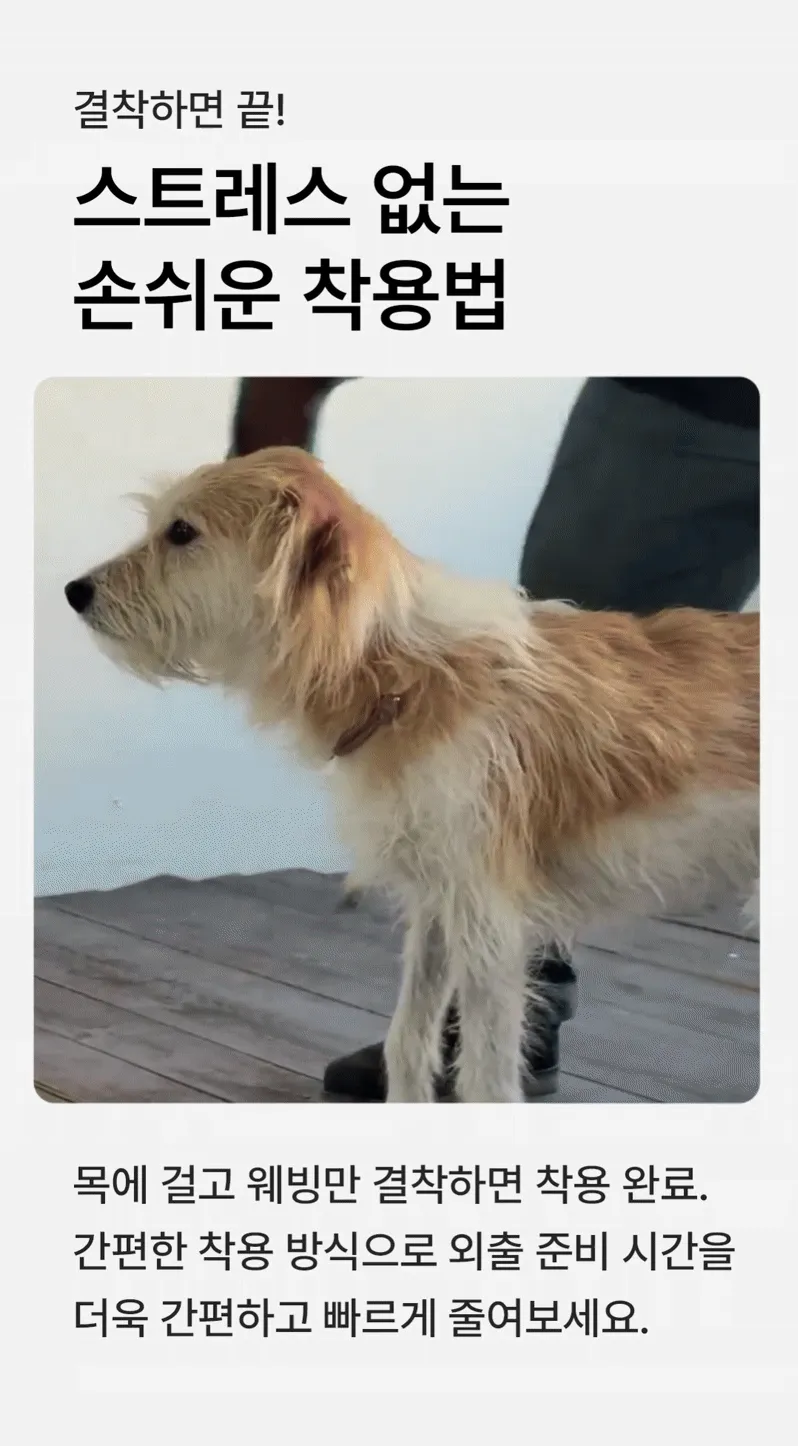 imgi_45_a43f48f69bf01