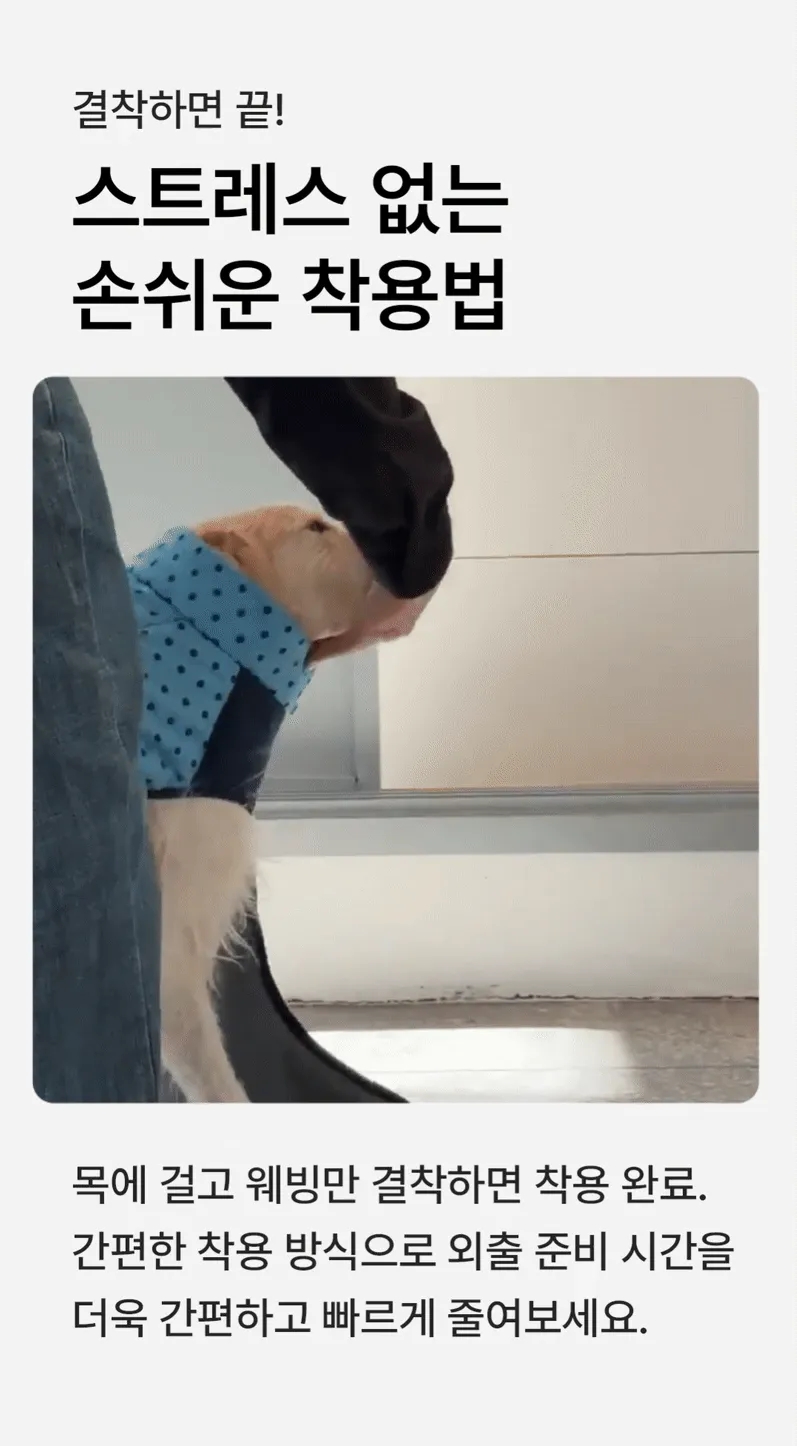 imgi_60_c85fdfb440de3