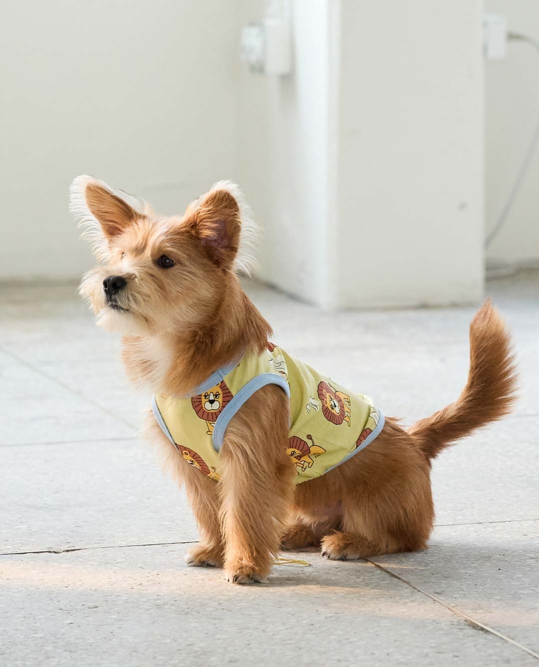 imgi_106_937e8a71b30dd