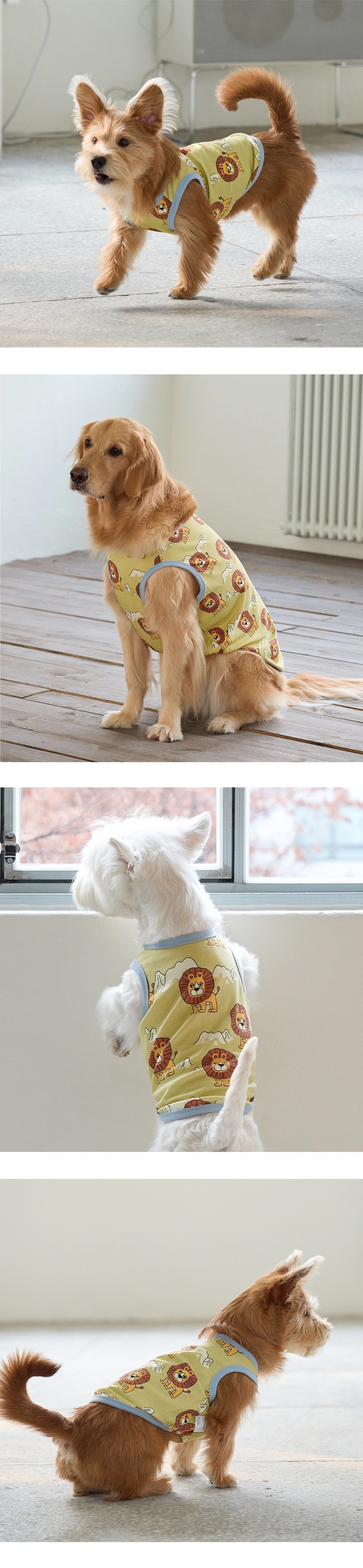 imgi_83_8d77833c069c81