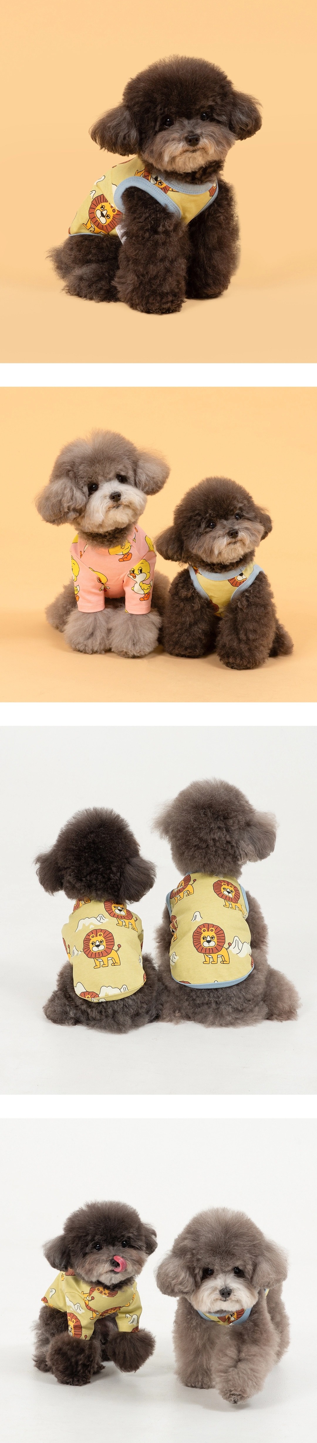 imgi_83_8d77833c069c82