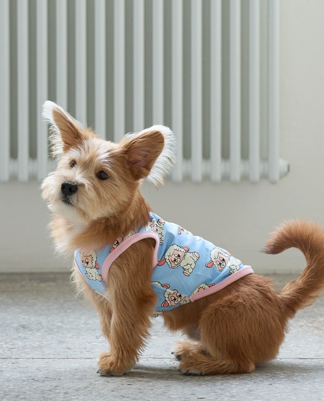 imgi_75_7742c3203a5561