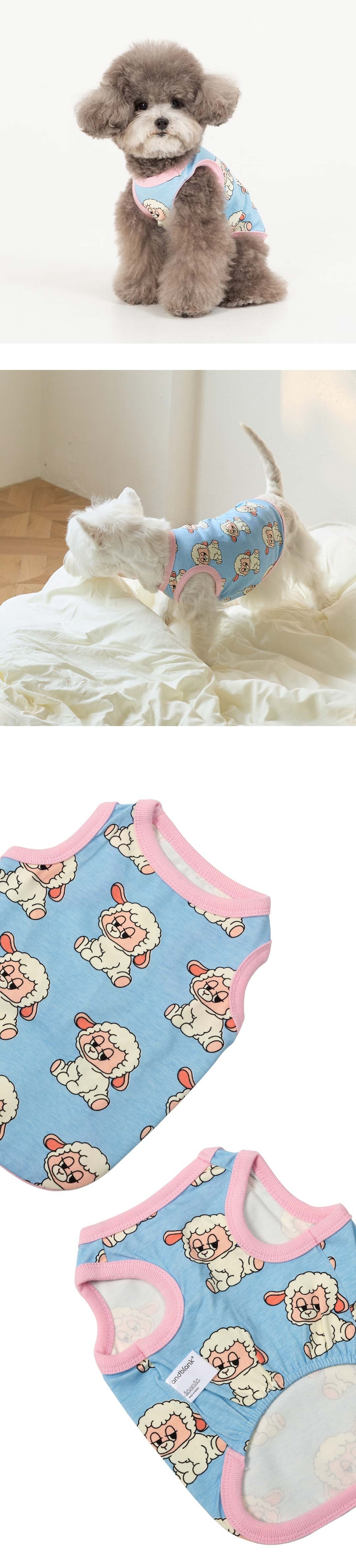 imgi_107_1bc49fdb8eb7b