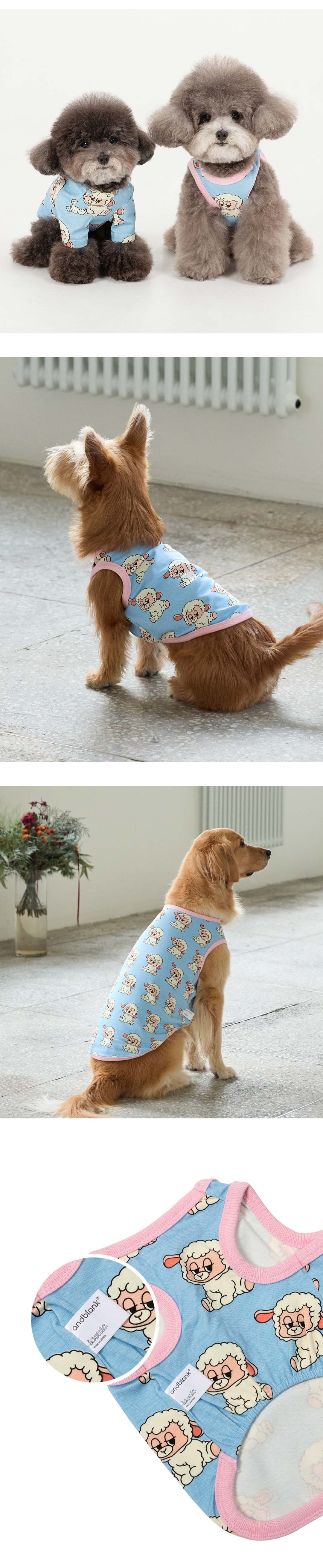 imgi_107_1bc49fdb8eb7b2