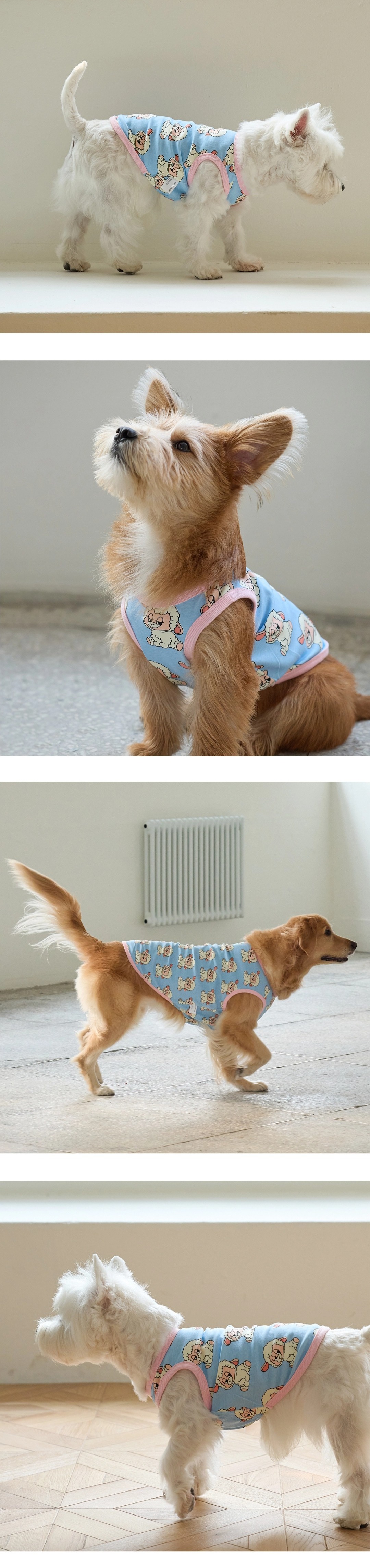 imgi_44_7d2418f58e1f3