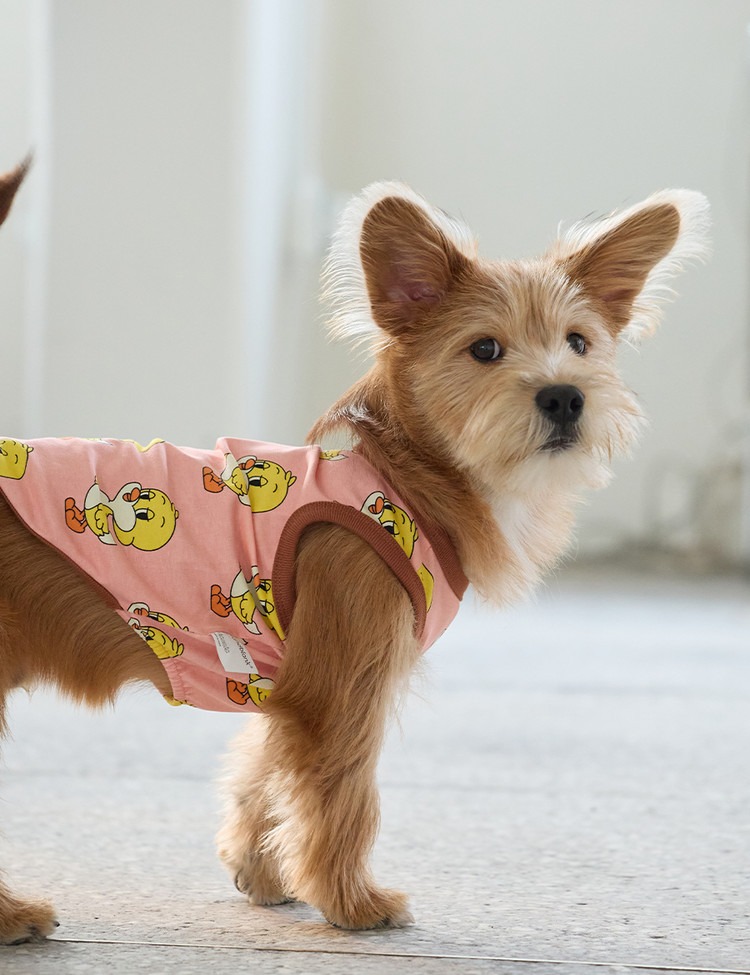 imgi_9_b8b2d0410700e