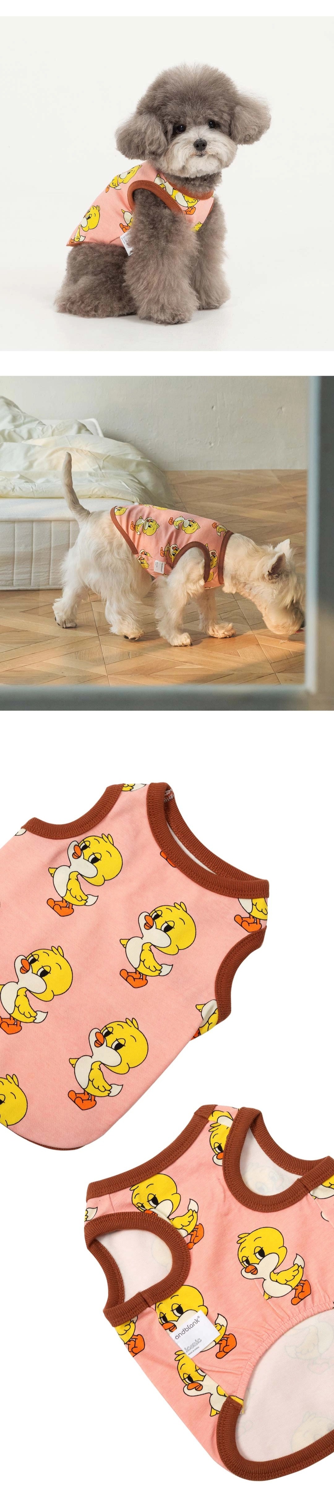 imgi_76_742386fdd6c5a3