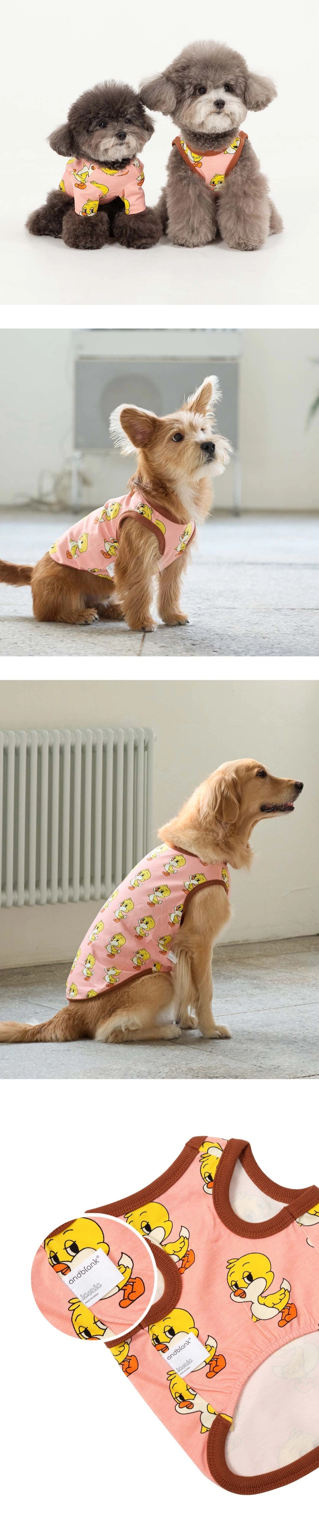 imgi_76_742386fdd6c5a33