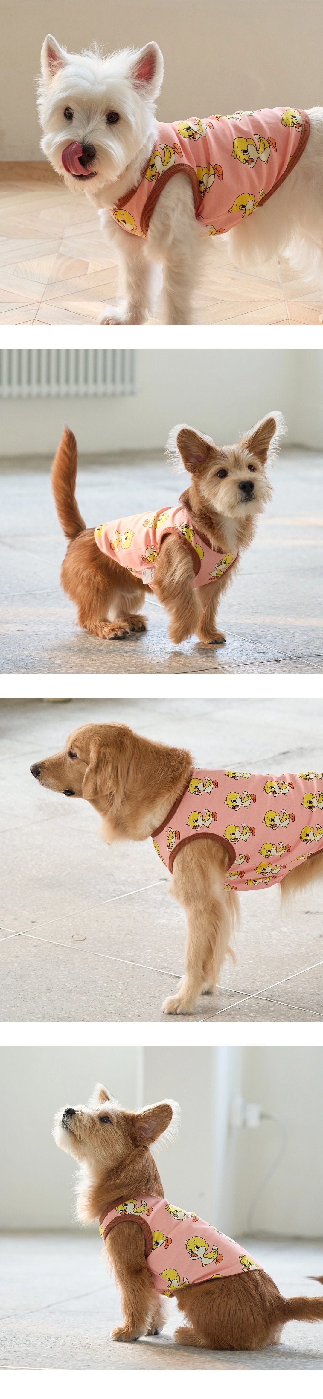 imgi_83_6597b541dd1025