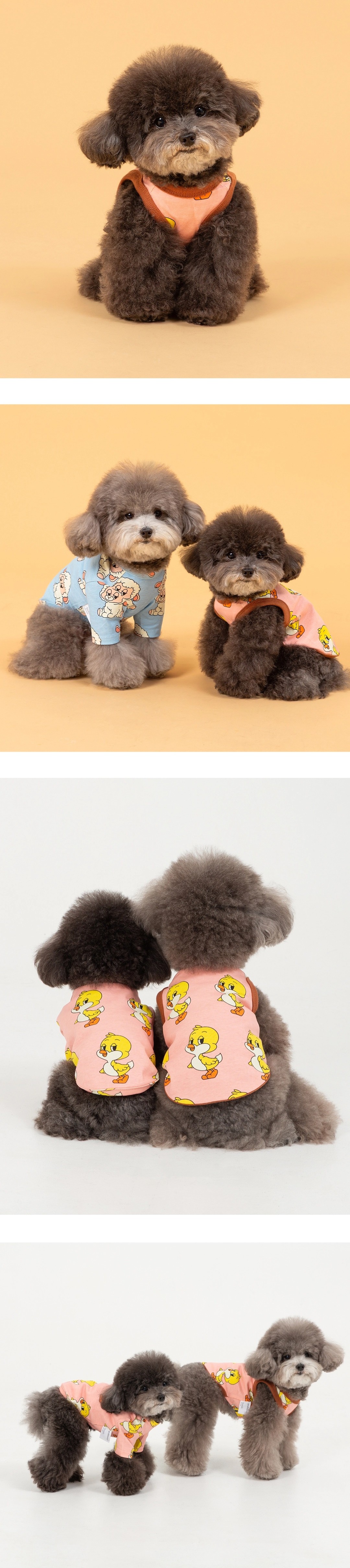 imgi_83_6597b541dd10255