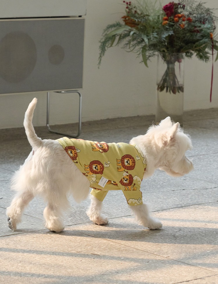 imgi_9_8cea2489819fd