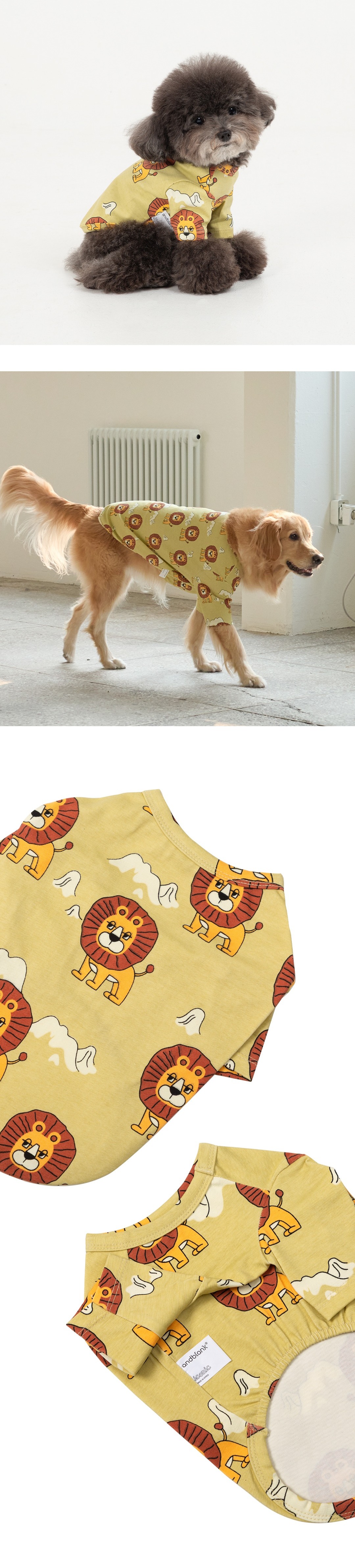 imgi_107_4b012c28a2d37