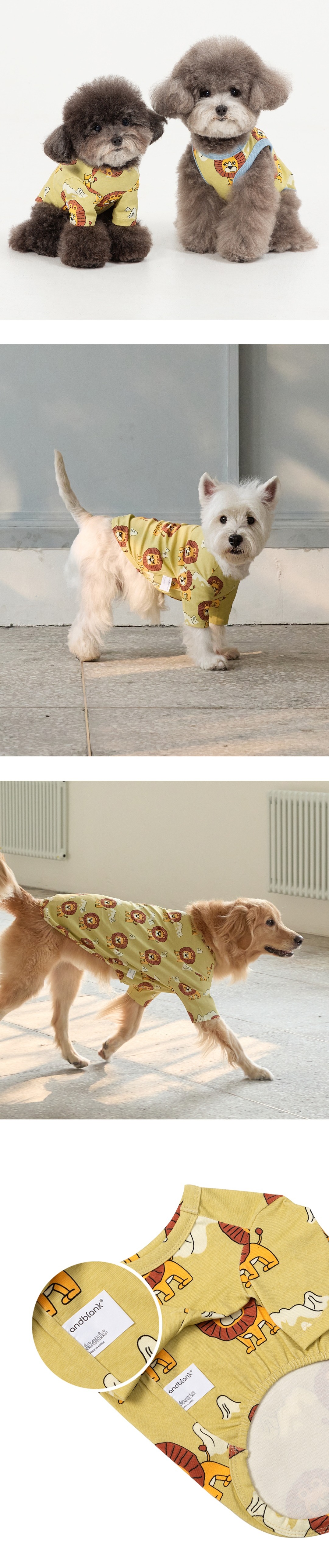 imgi_107_4b012c28a2d372