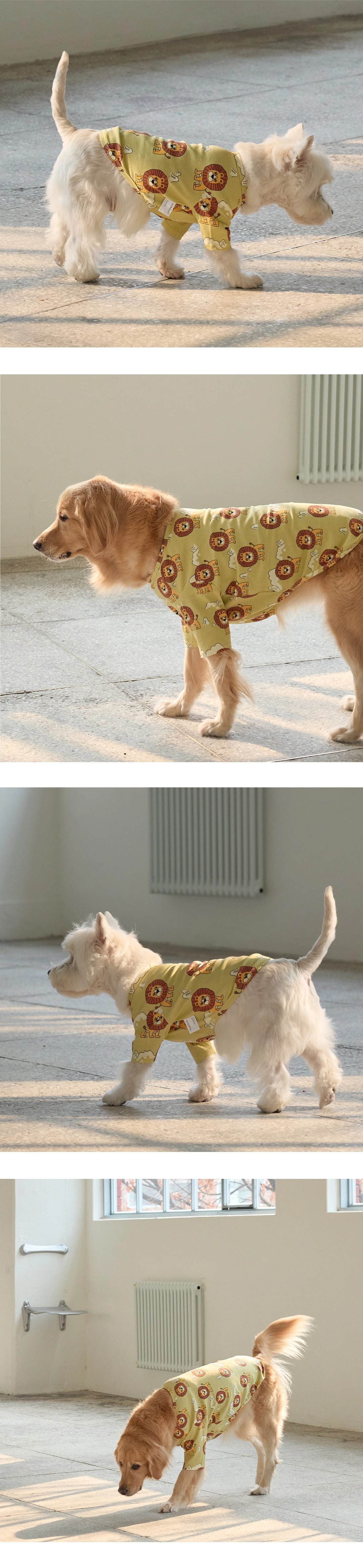 imgi_83_0260d09e38653