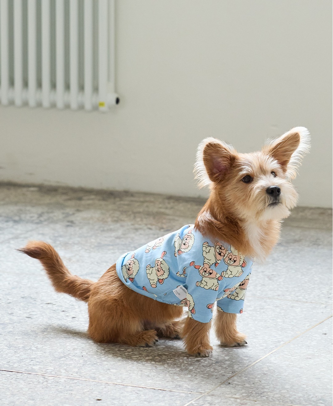 imgi_106_db9c6110ba5c3