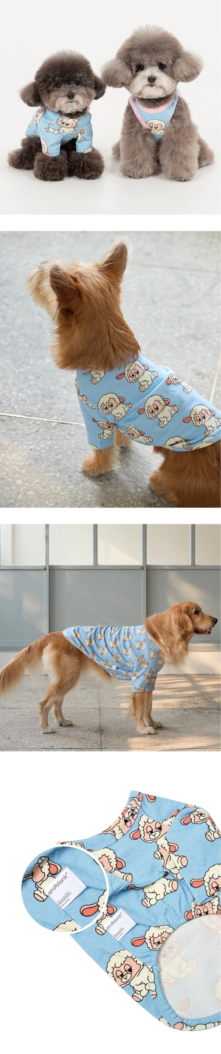 imgi_80_a7e8135c2e8862