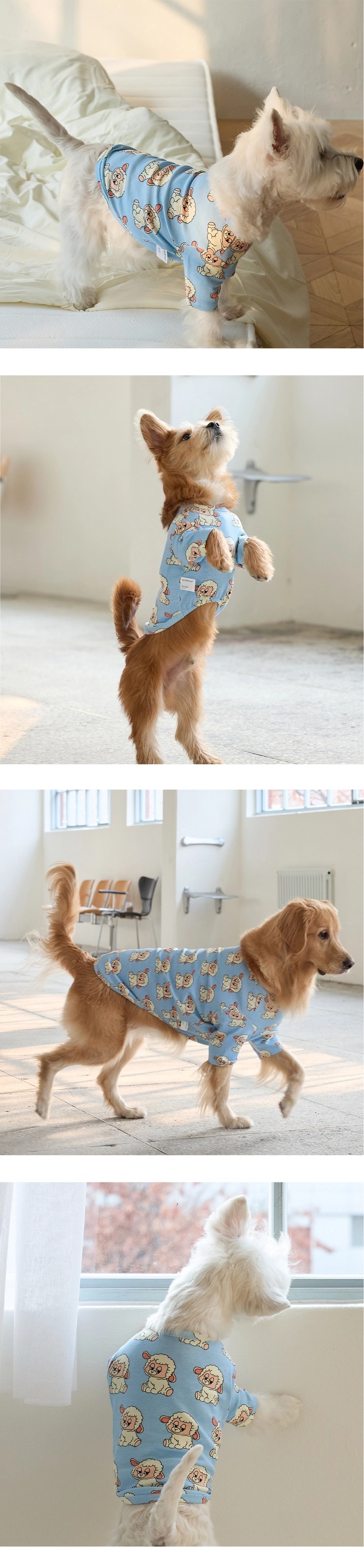 imgi_85_87eac57c05439