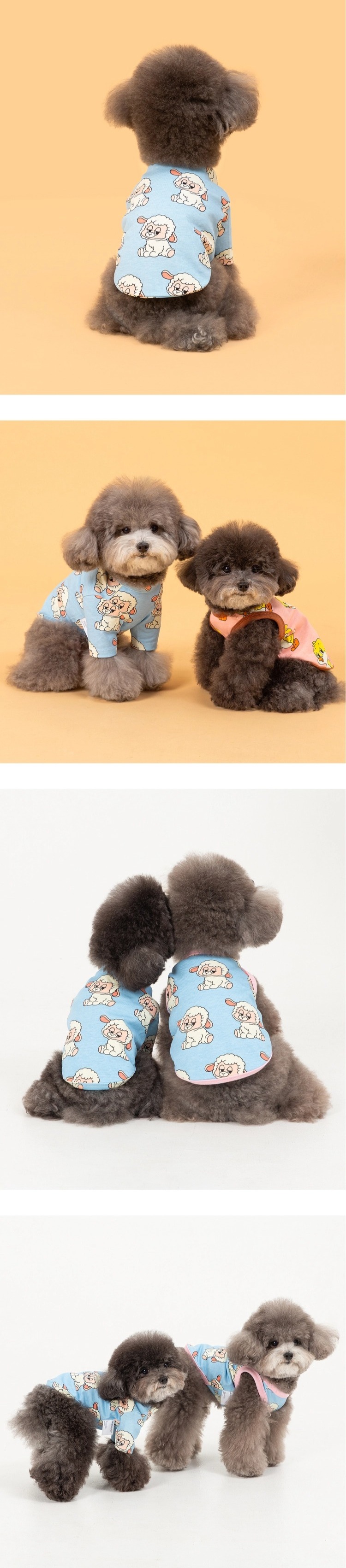 imgi_85_87eac57c054392