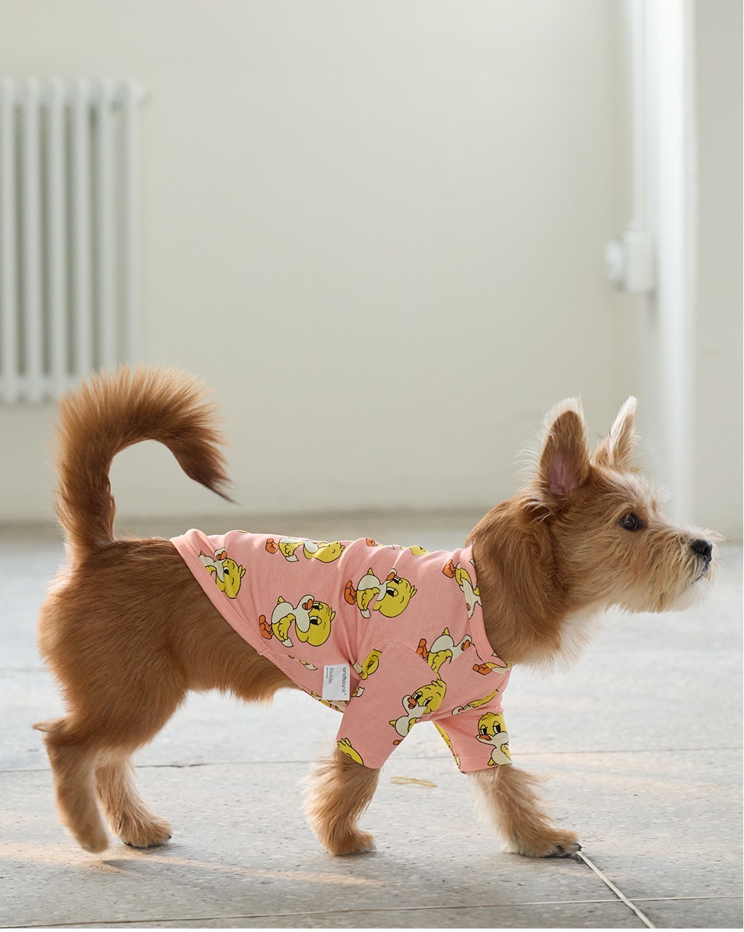 imgi_105_bcaa37f3c2fda