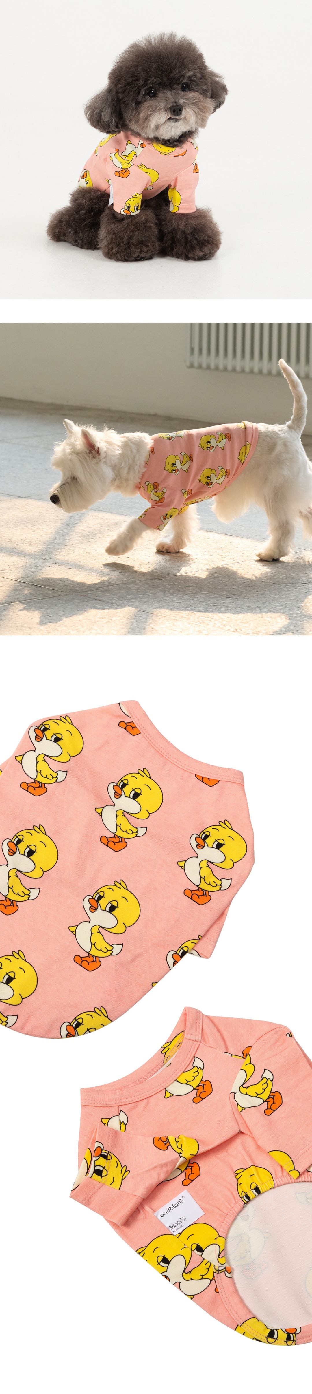 imgi_106_e9228512a5e92