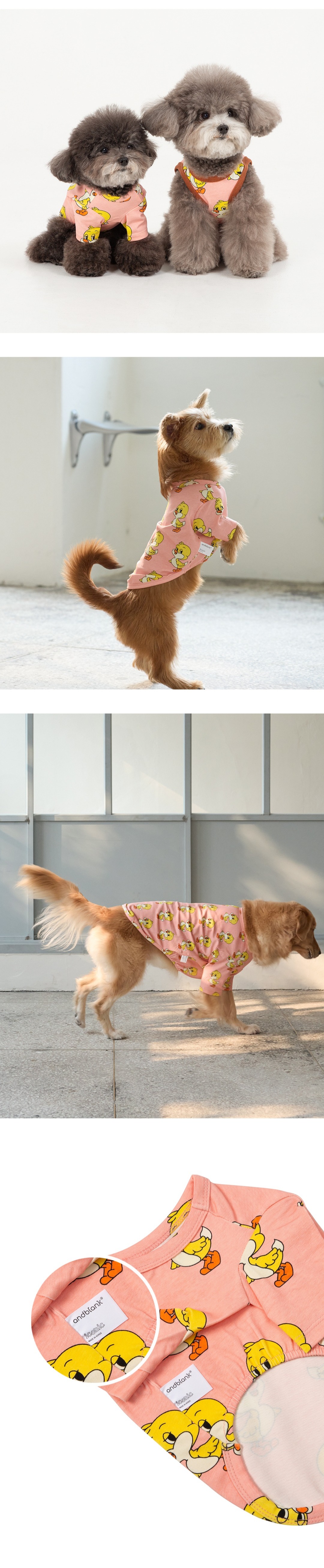 imgi_106_e9228512a5e922